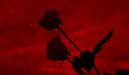 Name -- Basic Info Abt Me